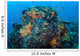 Colorful Healthy Coral Reef Wall Decal Design 6