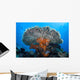 Soft Corals Grow beneath Wall Decal