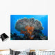 Soft Corals Grow beneath Wall Decal
