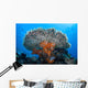 Soft Corals Grow beneath Wall Decal