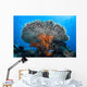 Soft Corals Grow beneath Wall Decal
