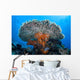 Soft Corals Grow beneath Wall Decal