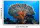 Soft Corals Grow beneath Wall Decal