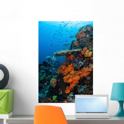 Soft and Hard Corals Wall Decal shown on a wall