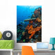 Soft and Hard Corals Wall Decal