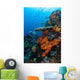 Soft and Hard Corals Wall Decal
