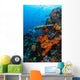 Soft and Hard Corals Wall Decal