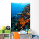 Soft and Hard Corals Wall Decal