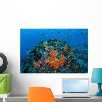 Current Sweeps across Colorful Wall Decal shown on a wall