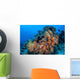 Soft Coral Colonies Thrive Wall Decal