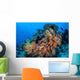 Soft Coral Colonies Thrive Wall Decal