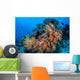 Soft Coral Colonies Thrive Wall Decal