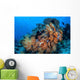 Soft Coral Colonies Thrive Wall Decal