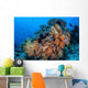 Soft Coral Colonies Thrive Wall Decal