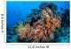 Soft Coral Colonies Thrive Wall Decal