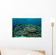 Seafloor Is Covered Reef-building Wall Decal Design 2