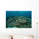 Seafloor Is Covered Reef-building Wall Decal Design 2