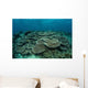 Seafloor Is Covered Reef-building Wall Decal Design 2