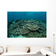 Seafloor Is Covered Reef-building Wall Decal Design 2