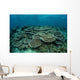 Seafloor Is Covered Reef-building Wall Decal Design 2