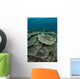 Seafloor Is Covered Reef-building Wall Decal Design 1