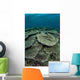 Seafloor Is Covered Reef-building Wall Decal Design 1