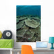 Seafloor Is Covered Reef-building Wall Decal Design 1