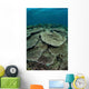 Seafloor Is Covered Reef-building Wall Decal Design 1