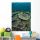 Seafloor Is Covered Reef-building Wall Decal Design 1