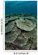 Seafloor Is Covered Reef-building Wall Decal Design 1