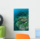 Healthy Reef-building Corals Thrive Wall Decal Design 7