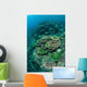 Healthy Reef-building Corals Thrive Wall Decal Design 7