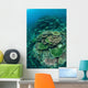 Healthy Reef-building Corals Thrive Wall Decal Design 7