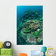 Healthy Reef-building Corals Thrive Wall Decal Design 7