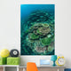 Healthy Reef-building Corals Thrive Wall Decal Design 7