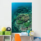 Healthy Reef-building Corals Thrive Wall Decal Design 7
