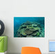 Healthy Reef-building Corals Thrive Wall Decal Design 6