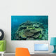 Healthy Reef-building Corals Thrive Wall Decal Design 6