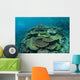 Healthy Reef-building Corals Thrive Wall Decal Design 6