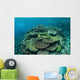 Healthy Reef-building Corals Thrive Wall Decal Design 6