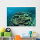 Healthy Reef-building Corals Thrive Wall Decal Design 6