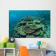 Healthy Reef-building Corals Thrive Wall Decal Design 6