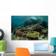 Healthy Reef-building Corals Thrive Wall Decal Design 5