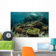 Healthy Reef-building Corals Thrive Wall Decal Design 5