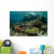 Healthy Reef-building Corals Thrive Wall Decal Design 5
