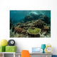 Healthy Reef-building Corals Thrive Wall Decal Design 5