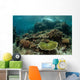 Healthy Reef-building Corals Thrive Wall Decal Design 5