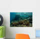 Scuba Diver Swims above Wall Decal Design 2