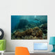 Scuba Diver Swims above Wall Decal Design 2