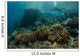 Scuba Diver Swims above Wall Decal Design 2